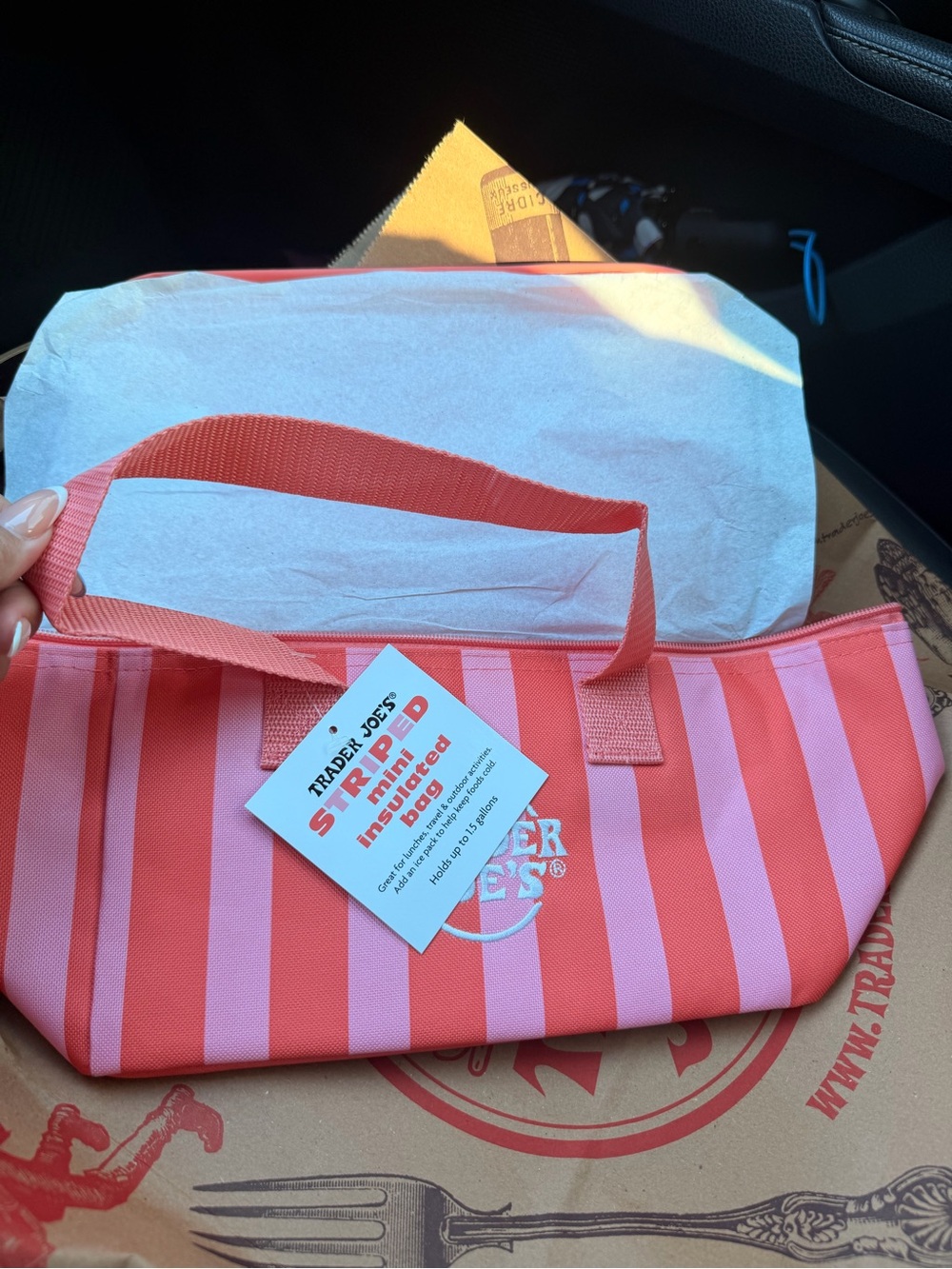 Trader Joe's Striped Insulated Lunch Bag - Coral Pink